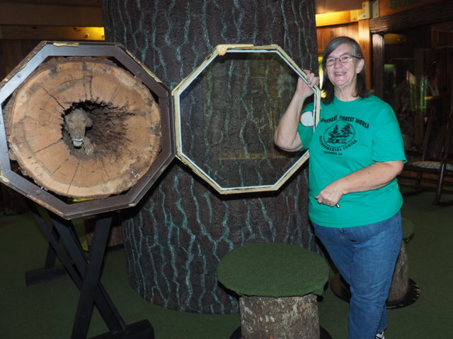 A woman standing beside the exhibit of Stuckie the dog