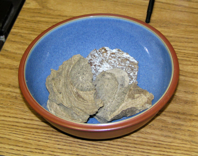 A bowl containing pieces of ambergris