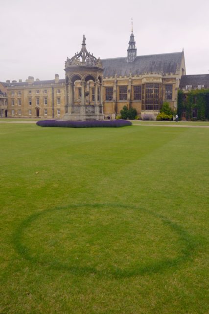 Ring of darker grass in a courtyard with an old gothic building in the background.