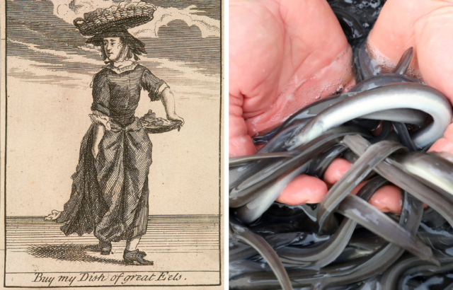 Side by side images of a colonial eel seller and small live eels