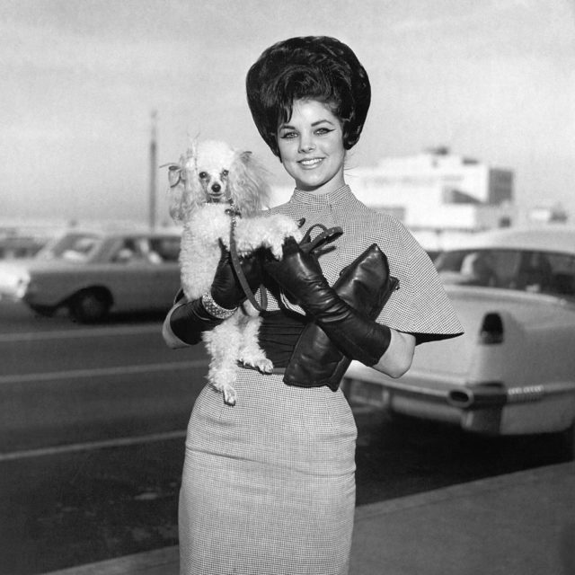 Priscilla Presley holding her small, white dog in her arms with a large updo, black gloves and a form fitting dress.