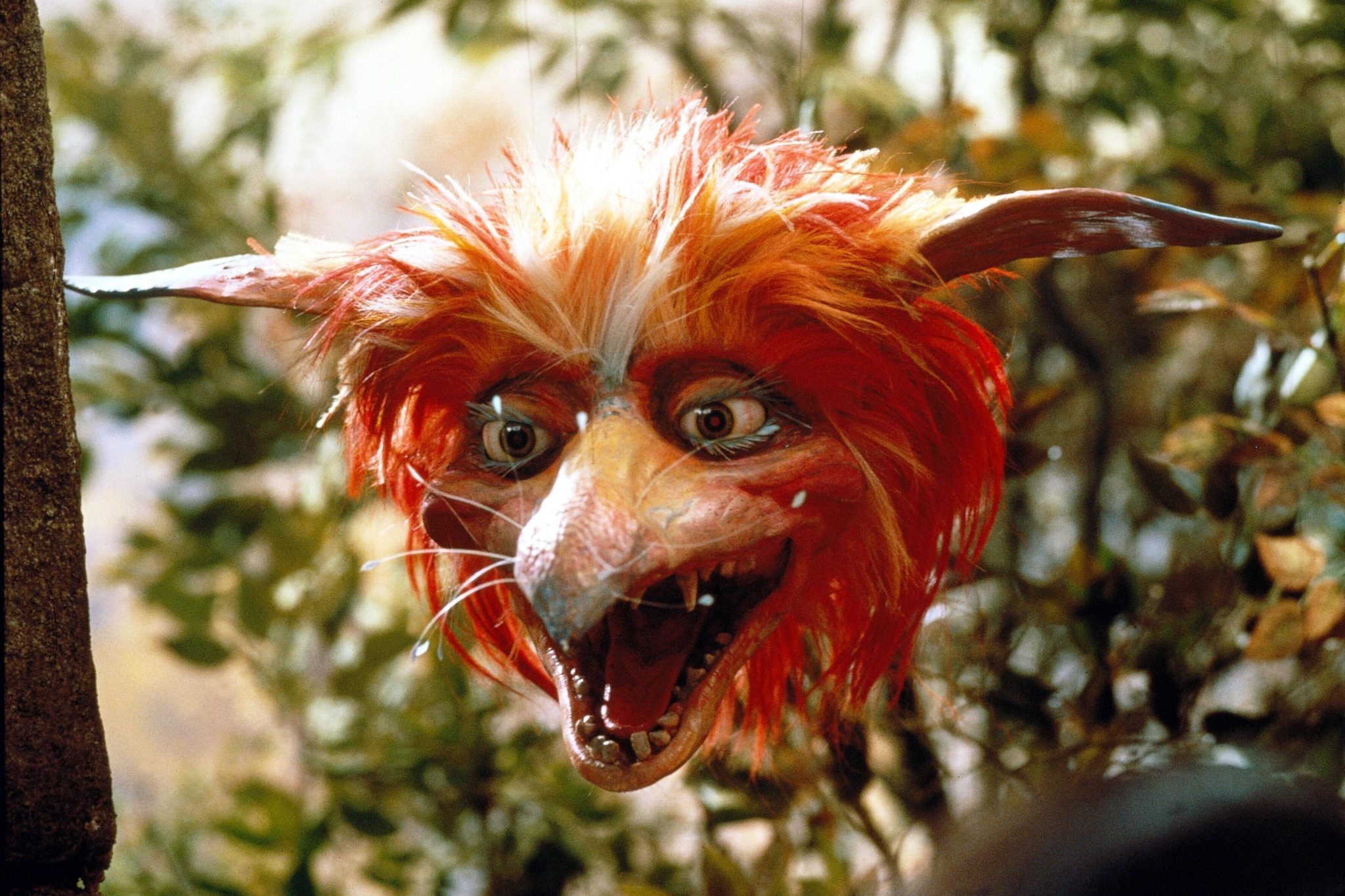 Puppet Labrynth Why Our Obsession With The Movie 'Labyrinth' Continues Decades Later ...