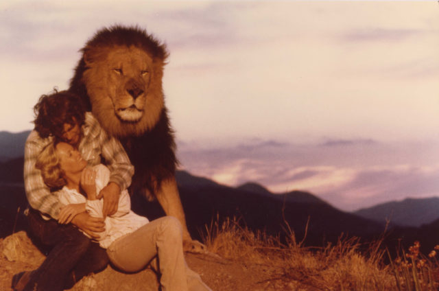 'Roar' publicity still with lion