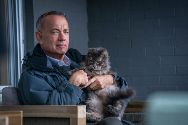 Tom Hanks in a blue jacket sitting in a chair holding a fluffy grey cat.