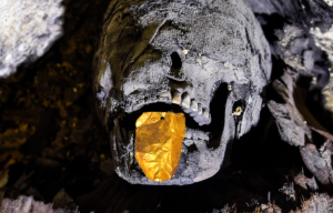Skull lying on the ground + Gold-leaf tongue