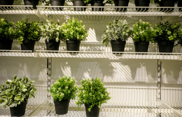 A store with fake house plants