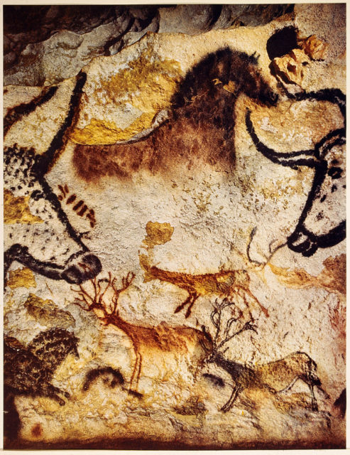 Cave painting of various different animals on rock face. 