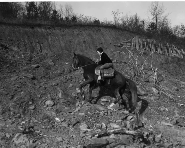 A woman on a horse climbing a hillside.