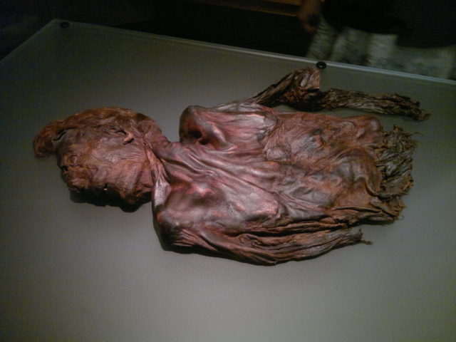 The mummified remains of a torso and head, deflated.
