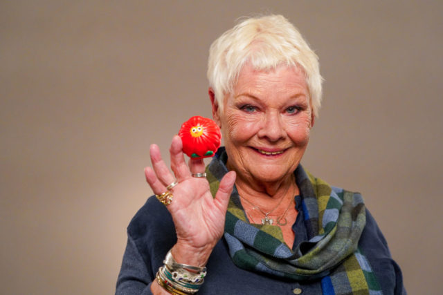 Judi Dench holds a red nose