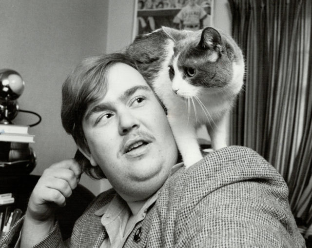 Photo of John Candy with a cat
