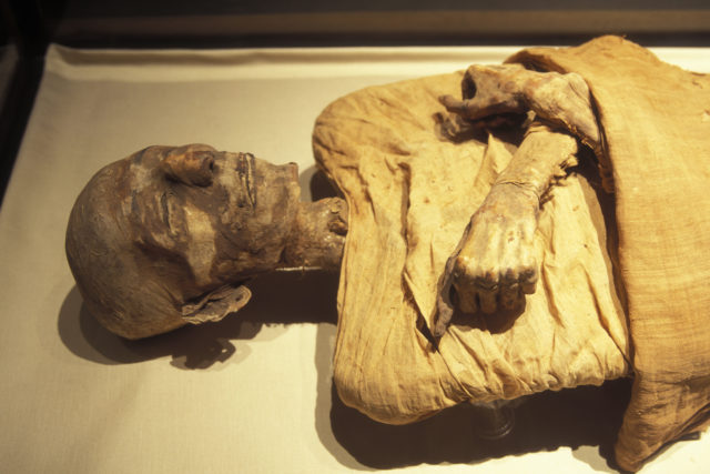 A mummy lying with its arms folded across its chest.