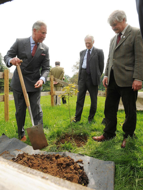 King Charles helps to plant a tree at his country estate Highgrove
