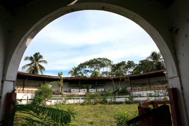 A view looking out under an archway at an abandoned bullring covered in natural overgrowth.