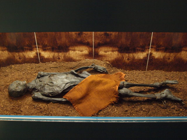 A mummy sitting on a table, a cloth covering its mid-region