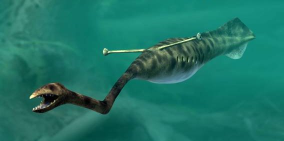 The Historic Tully Monster Was So Uncommon That Scientists Nonetheless Do not Know How one can Classify It