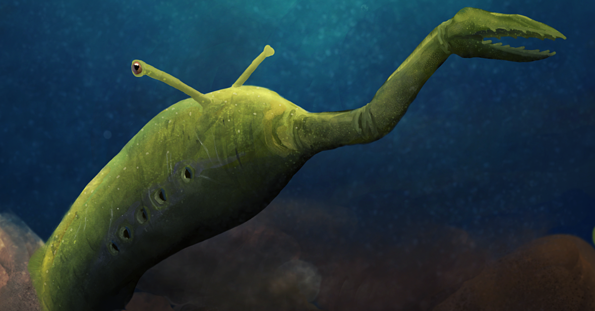 The Ancient Tully Monster Was So Unusual That Scientists Still Don't