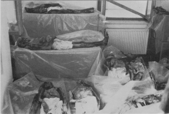Several mummies laying on different platforms covered in cloth