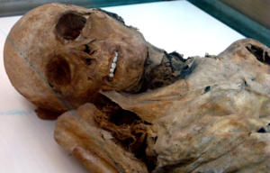 a well preserved mummy appears to look into the camerra