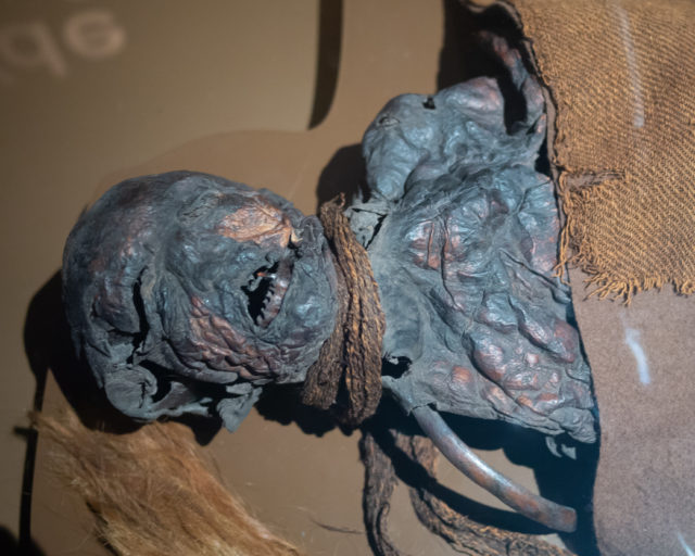 A mummified head and shoulders, covered in a woven sack and a cloth wrapped around the neck.