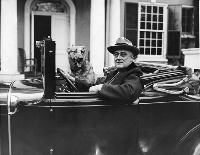 Franklin D. Roosevelt sitting in a car with his dog