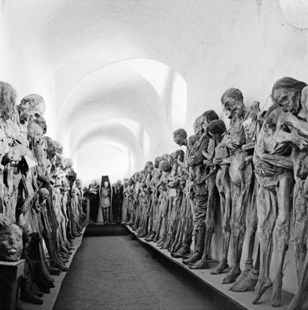 Hallway lined with numerous standing mummies. 