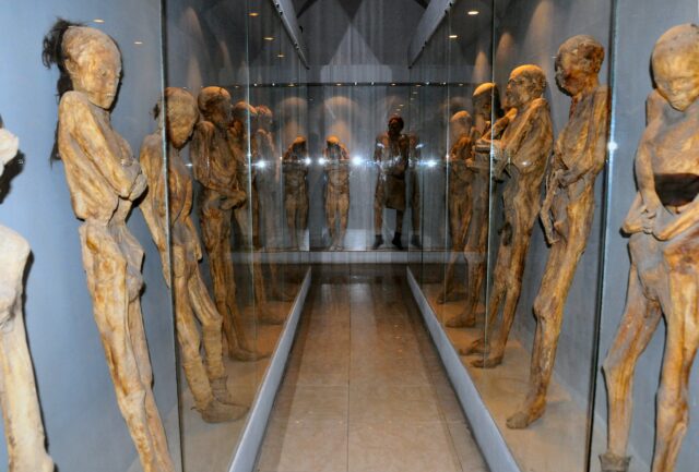 Row of mummies lining the walls of a hallway in glass cases.