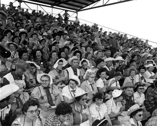 Crowd sitting together in a grandstand