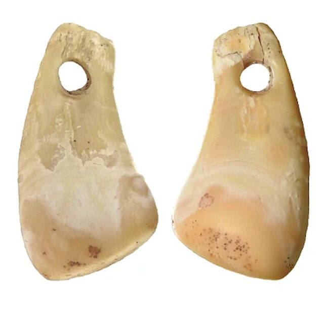Side-by-side images of the front and back of the pendant were discovered in the Denisova Cave and were the focus of the new DNA extraction technique. 
