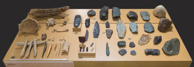 Various objects on a table from the Denisova Cave that were discovered in 2017.