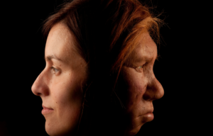 A modern woman faces left while her ancestor, a neanderthal faces right.