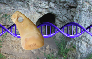 The Denisova Cave, with a DNA strand, and deer tooth pendant.