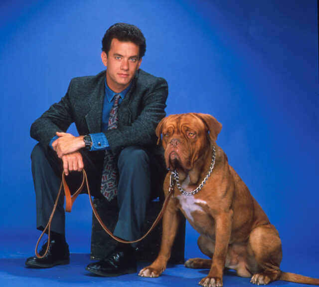 Tom Hanks in a suit sits holding the leash of a large dog. 