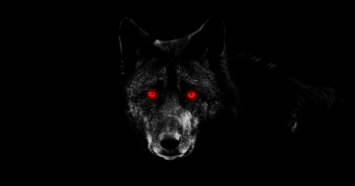 The Terrifying Legend of the Black Dog | The Vintage News