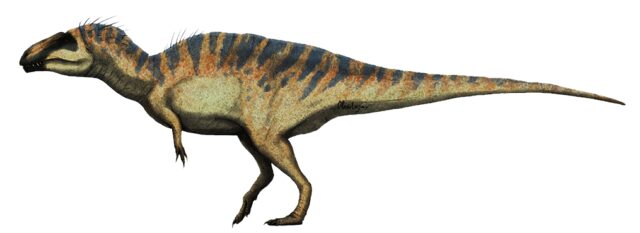 Restoration of Acrocanthosaurus.