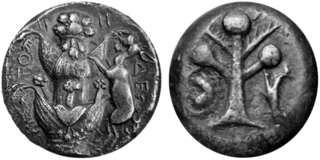 Two ancient coins with the silphium plant depicted on them.