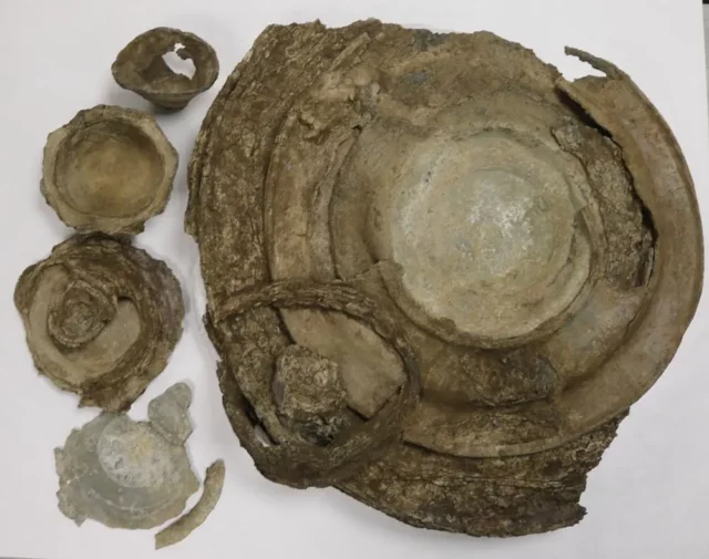 Items from the Euston hoard laid out on a white background.