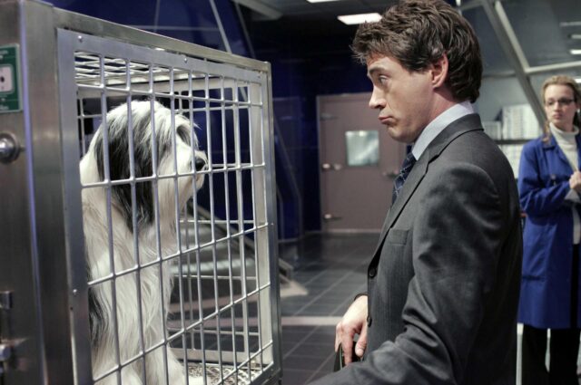 Robert Downey Jr. looking at a sheepdog in a cage in a scene from "The Shaggy Dog."