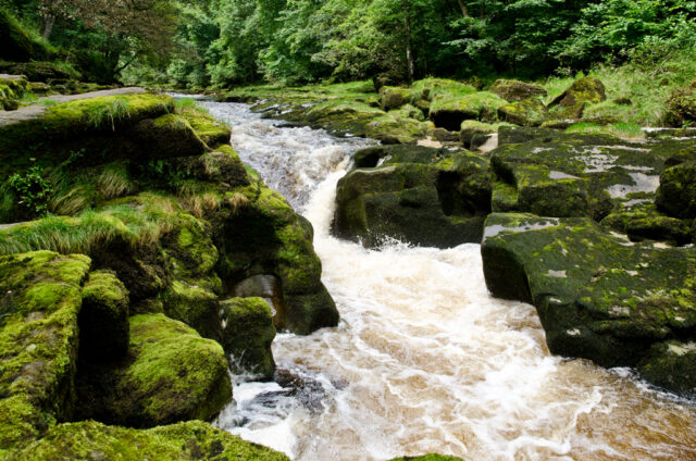 Water rushing along the green, mossy rocks of the Bolton Strid.