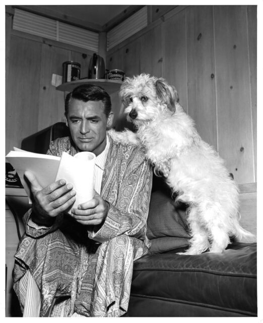 Cary Grant reading a script, a dog leaning on him.