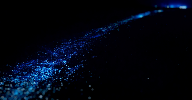 Bioluminescent plankton forming the sea of stars in the Maldives