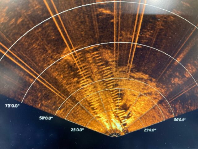 Sonar image of a shipwreck.