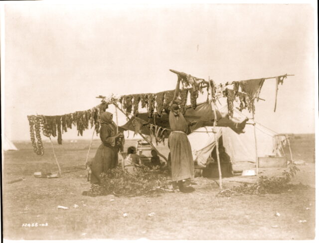 Woman hanging meats on tentpoles for drying.