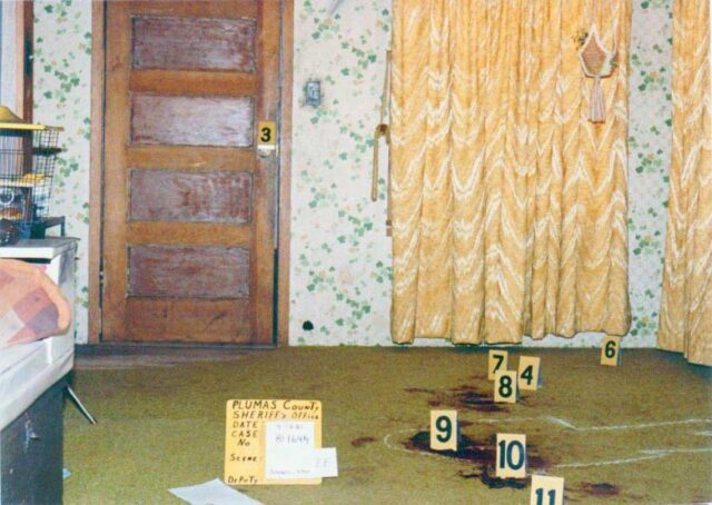 The living room of keddie cabin 28 with blood on the green carpet.