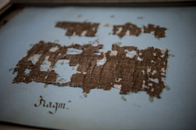 Fragments of a Herculaneum papyrus laid out on a table.