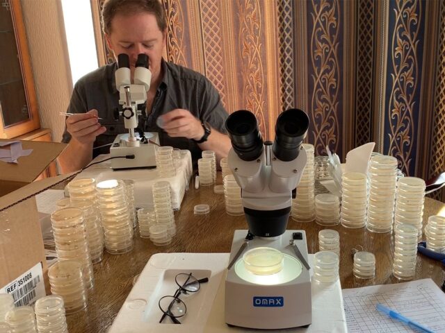 A man looking into a microscope, the table covered in samples.