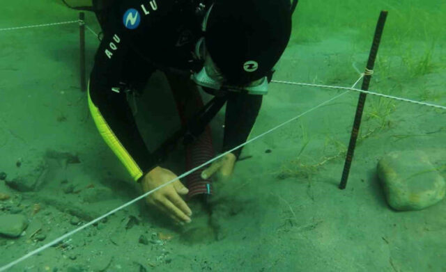 A diver scoops sea floor into a container.