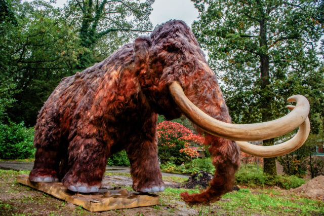 Model of a woolly mammoth displayed outdoors