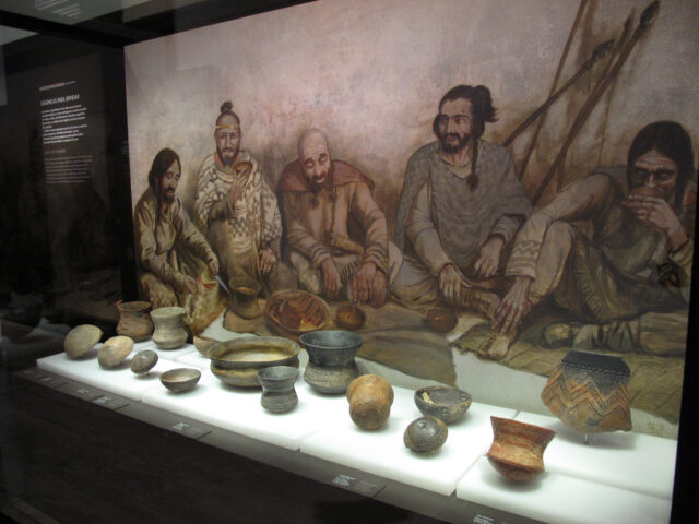 A display in a museum for the Bell Beaker culture.