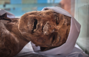 A mummy laying sideways on display.